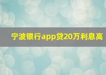 宁波银行app贷20万利息高