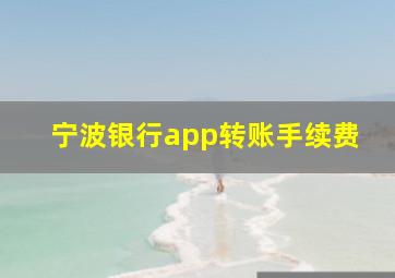 宁波银行app转账手续费