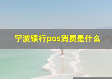 宁波银行pos消费是什么