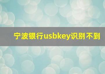 宁波银行usbkey识别不到