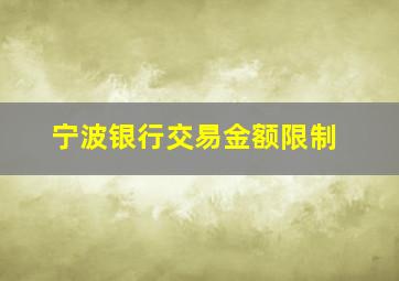 宁波银行交易金额限制