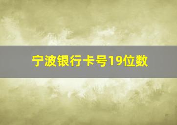 宁波银行卡号19位数