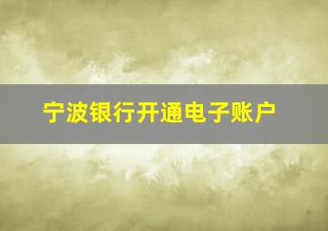 宁波银行开通电子账户