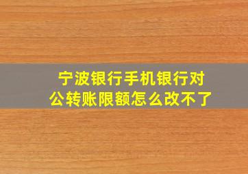 宁波银行手机银行对公转账限额怎么改不了