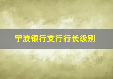 宁波银行支行行长级别