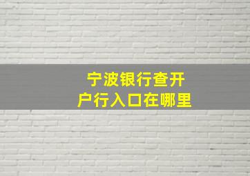 宁波银行查开户行入口在哪里