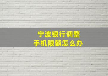 宁波银行调整手机限额怎么办