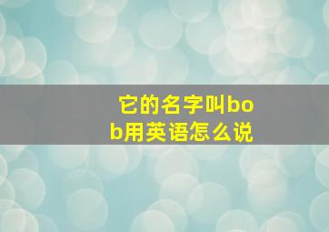 它的名字叫bob用英语怎么说