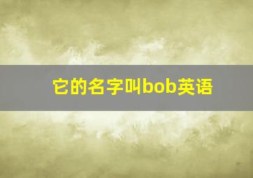 它的名字叫bob英语