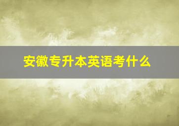 安徽专升本英语考什么