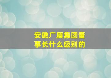 安徽广厦集团董事长什么级别的