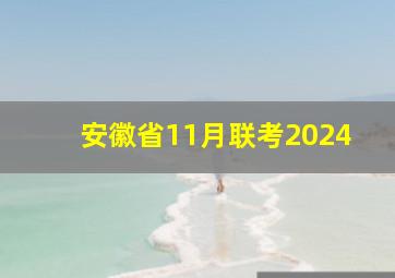 安徽省11月联考2024