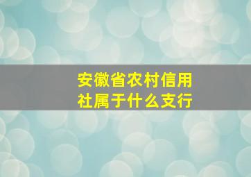 安徽省农村信用社属于什么支行