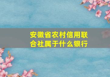 安徽省农村信用联合社属于什么银行