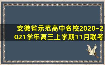 安徽省示范高中名校2020~2021学年高三上学期11月联考