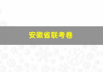 安徽省联考卷