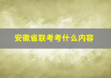 安徽省联考考什么内容