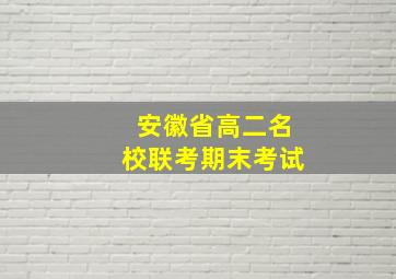 安徽省高二名校联考期末考试