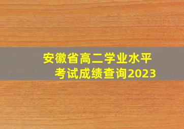 安徽省高二学业水平考试成绩查询2023