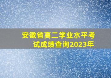 安徽省高二学业水平考试成绩查询2023年