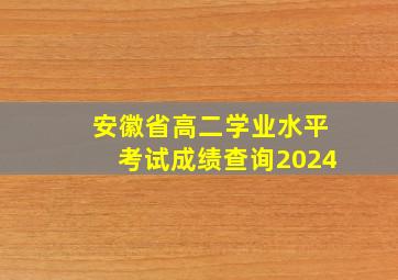 安徽省高二学业水平考试成绩查询2024