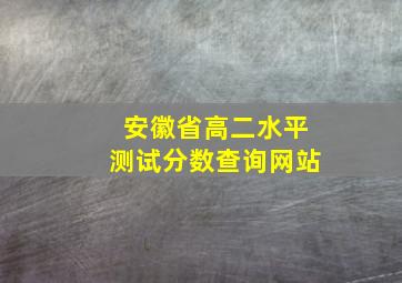 安徽省高二水平测试分数查询网站