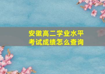 安徽高二学业水平考试成绩怎么查询