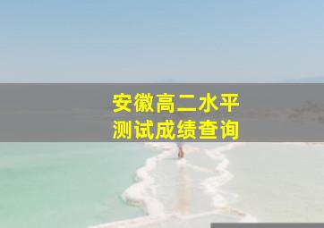 安徽高二水平测试成绩查询