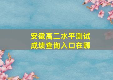 安徽高二水平测试成绩查询入口在哪