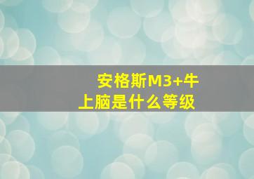 安格斯M3+牛上脑是什么等级