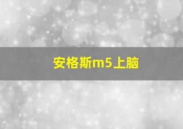 安格斯m5上脑