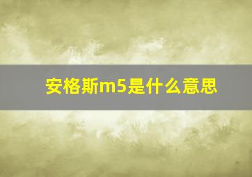 安格斯m5是什么意思