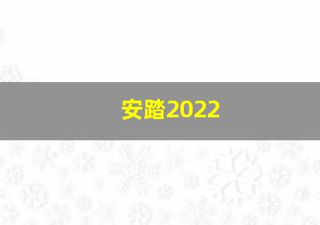 安踏2022