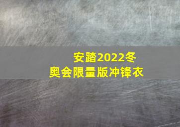 安踏2022冬奥会限量版冲锋衣