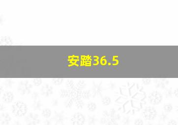 安踏36.5