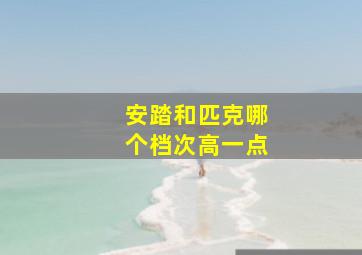 安踏和匹克哪个档次高一点