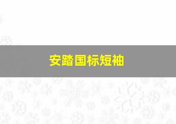 安踏国标短袖