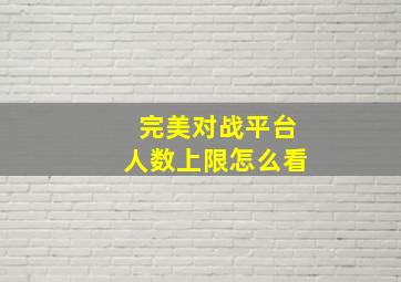 完美对战平台人数上限怎么看