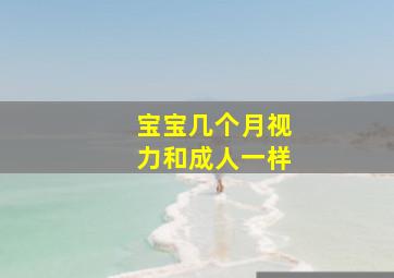 宝宝几个月视力和成人一样