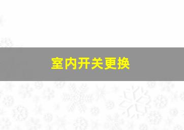 室内开关更换