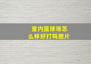 室内篮球场怎么样好打吗图片