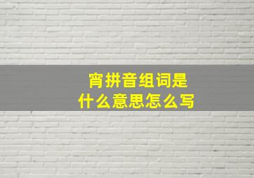 宵拼音组词是什么意思怎么写