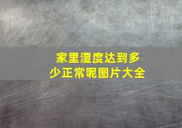 家里湿度达到多少正常呢图片大全