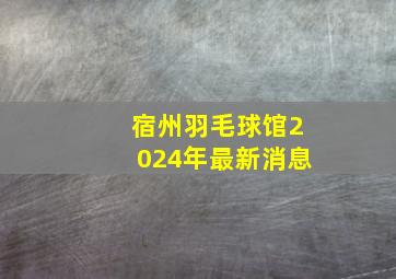 宿州羽毛球馆2024年最新消息