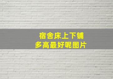 宿舍床上下铺多高最好呢图片