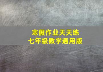 寒假作业天天练七年级数学通用版