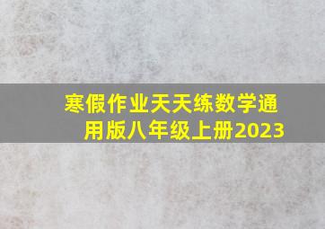 寒假作业天天练数学通用版八年级上册2023