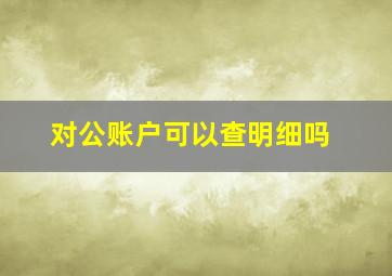 对公账户可以查明细吗