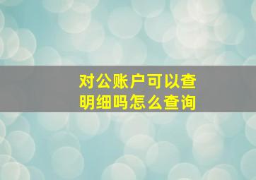 对公账户可以查明细吗怎么查询