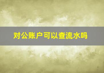 对公账户可以查流水吗